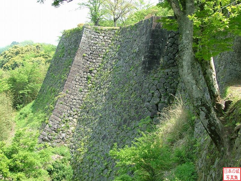 岡城