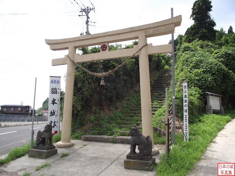 山麓から天下道を登る