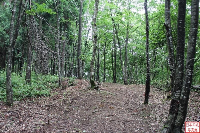 登城路