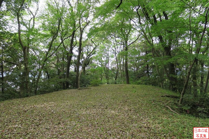 宍ヶ崎櫓跡