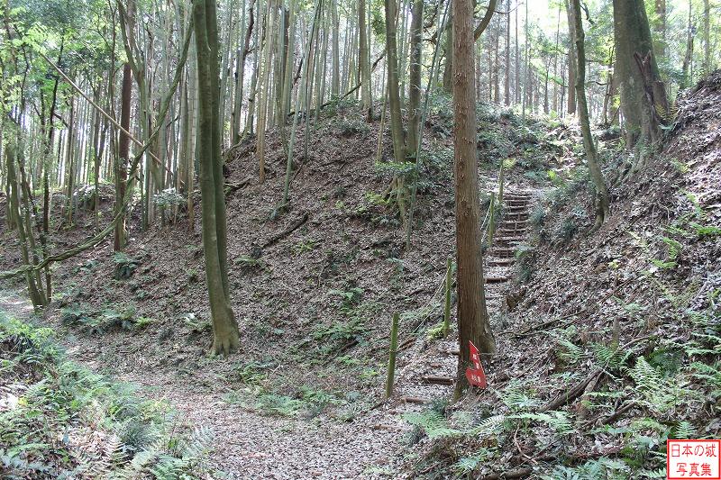 櫓跡・変形武者走り