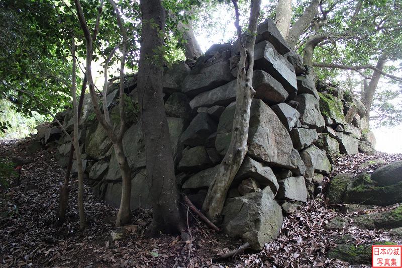 山上ノ丸 東坂道