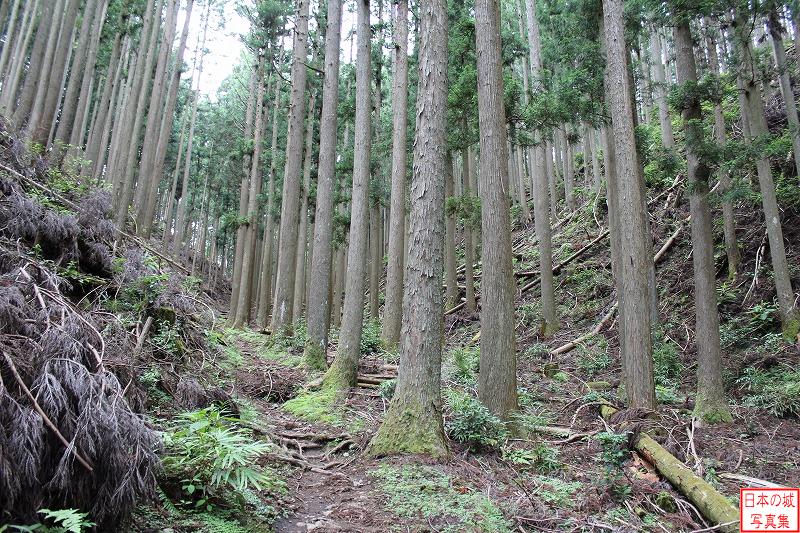 登城路