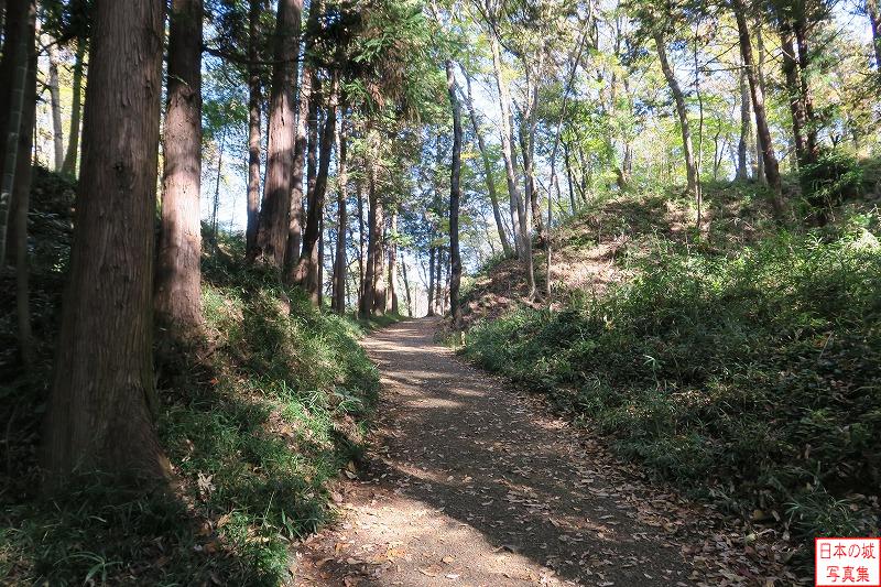 天野坂 枡形虎口