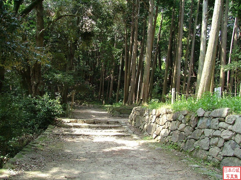 大手道・摠見寺道合流地点