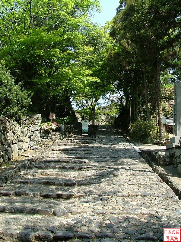 二の丸・大手道