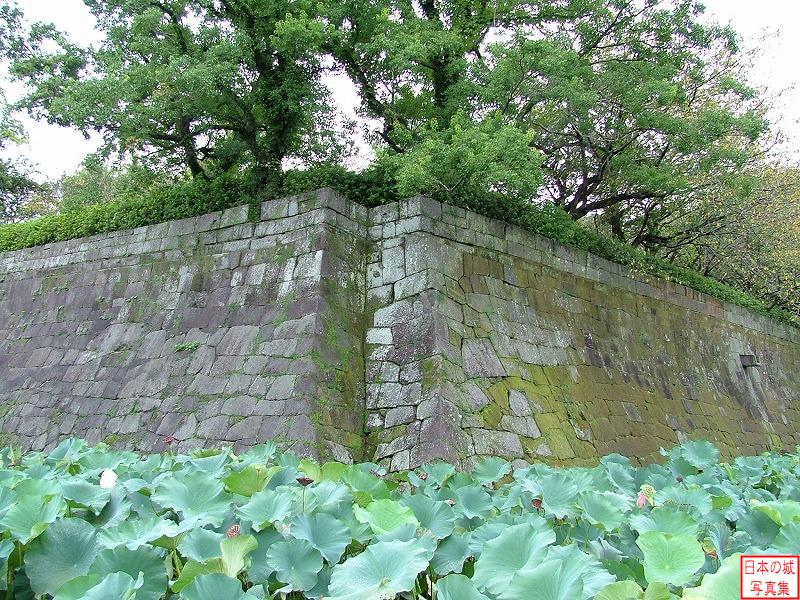 鹿児島城