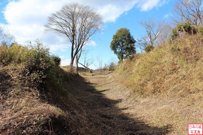 川崎城