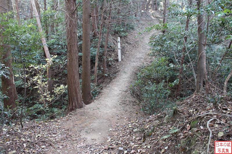 登城路